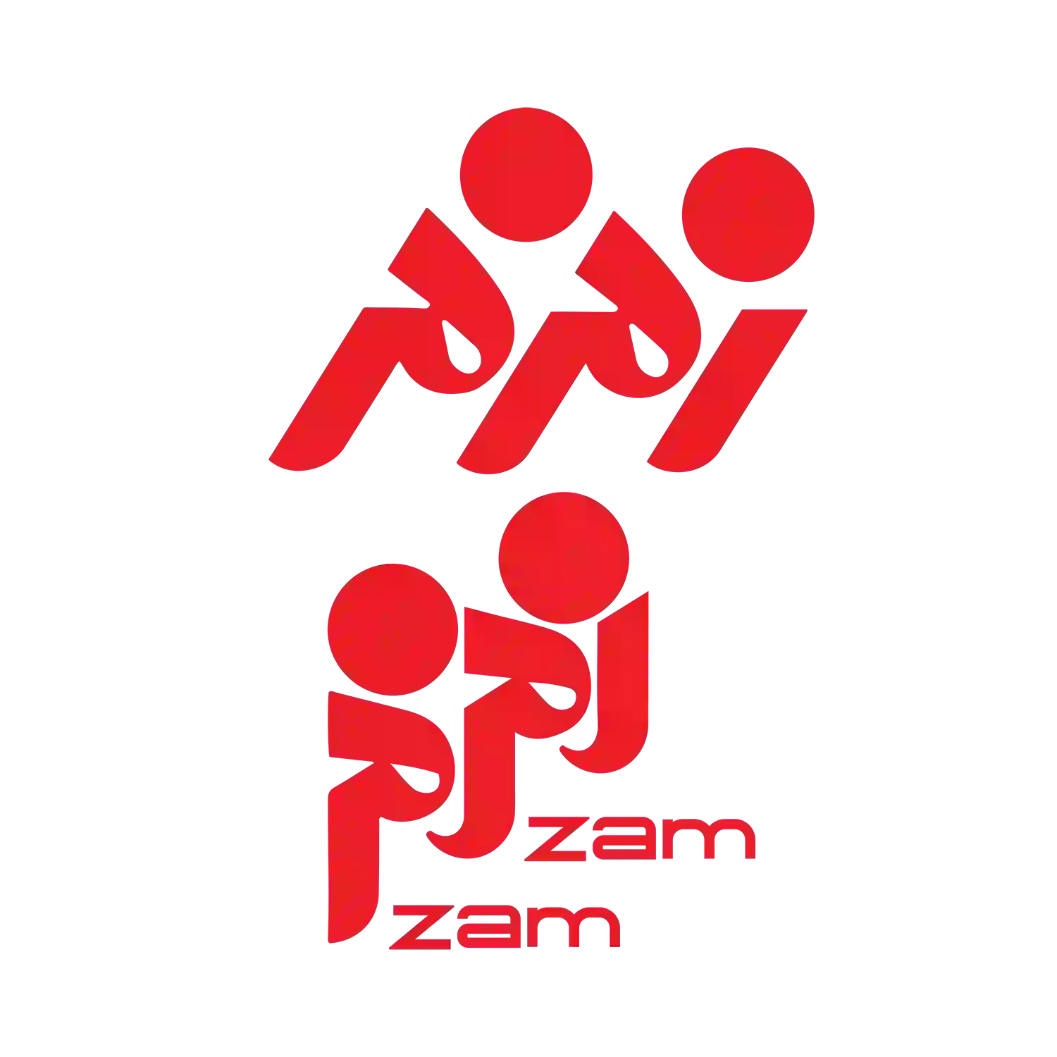 لوگو 13